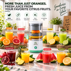 Portable, Rechargable Electric  Juicer